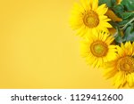 Beautiful Sunflowers On Yellow...
