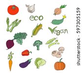 vegetables | Shutterstock .eps vector #597305159