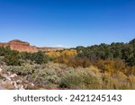 Small photo of United States. Utah. Wayne County. Along the Scenic Byway 12 between Torrey and Boulder.