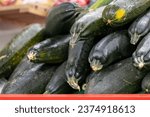 Small photo of A stack of dark green organic zucchini or cucurbita pepo for sale at a farmers' market. The autumn harvest vegetable is long, thin, soft summer marrow. Its skin is fresh, shiny, smooth and taunt.