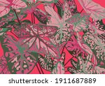 red aglaonema on pastel pink... | Shutterstock .eps vector #1911687889
