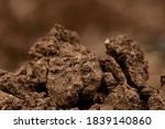 clods of brown earth nature 