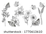 hand drawn wildflowers and... | Shutterstock .eps vector #1770613610