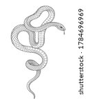 Hand Drawn Twisted Snake...
