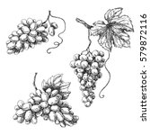 Set Of Grapes Monochrome Sketch....