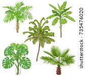Tropical Plants Set. Palm Trees ...