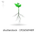 plant and root with green... | Shutterstock .eps vector #1926569489
