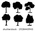 collection isolated tree symbol ... | Shutterstock .eps vector #1928443943