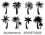 collection of black coconut... | Shutterstock .eps vector #2010571820