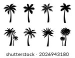 collection of black coconut... | Shutterstock .eps vector #2026943180