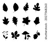 set silhouette leaves plant... | Shutterstock .eps vector #2027568263