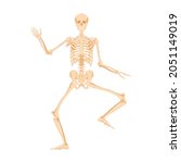 Dancing Human Skeleton. Dead...