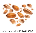 wheat grains in the shape of a... | Shutterstock . vector #1914463306