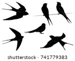 Set Of Swallow Silhouettes  ...