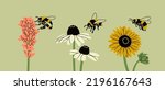 Puffy bumblebees or Bees flying near various flowers. Bee collects pollen. Spring, summer, nature concept. Set of three hand drawn modern Vector illustrations. Logo, print, design template