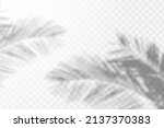 realistic shadow tropical... | Shutterstock .eps vector #2137370383