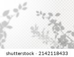 realistic shadow tropical... | Shutterstock .eps vector #2142118433