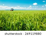 Spraying wheat crops field