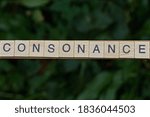 Small photo of gray word consonance made of wooden square letters on green background
