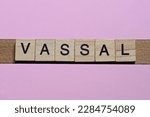 Small photo of word vassal from small gray wooden letters lies on a pink background
