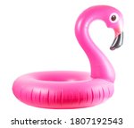 Flamingo Print. Pink Pool...