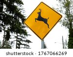 Deer Crossing Sign  In A Rural...