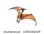 Pteranodon  Pterodactyl ...