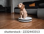 Pet Friendly Smart Vacuum...