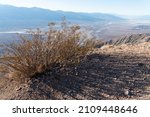 Landscapes Of Death Valley National Park At Dante