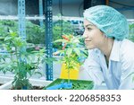 Small photo of searcher hold fogging spray water sprat to cannabis flower boost grow under environment lighting control in house modern plantation farming