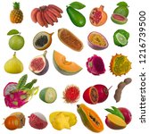set of tropical fruits isolated ... | Shutterstock . vector #1216739500