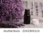 In laboratory, natural organic extraction and lavender flower herb aroma essence in test tube. Research and develop project medicine for health and beauty care. Copy space