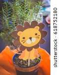 Lion picture in pot plant kids...