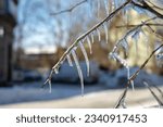 Frosted tree branches covered with ice and icicles on white snowy background. Tallinn, Estonia. Selective focus, blurred background.