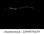 Full length backlit silhouette of a young Spanish horse against a black background