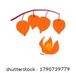  physalis fruit abstract ... | Shutterstock .eps vector #1790739779