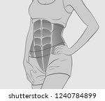 exercises for abdominal muscles.... | Shutterstock .eps vector #1240784899