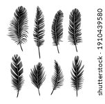 black feathers. set of feathers ... | Shutterstock .eps vector #1910439580