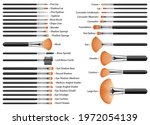 Set Of Cosmetic Brushes For...