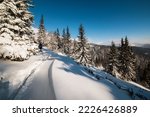 Snowy winter landscape. Snow covered trees in forest. Low Tatras National Park Slovakia. Christmas postcard.