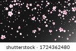 nice sakura blossom isolated... | Shutterstock .eps vector #1724362480
