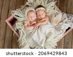 Small photo of Twins. newborn twins in a basket. first photo session of newborns