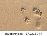 Photo Of Human Footprint Beside ...
