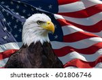 American Flag With Bald Eagle
