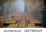 Beautiful Railway Track In...