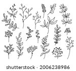 set of hand drawn floral... | Shutterstock .eps vector #2006238986