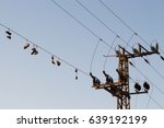 Shoes Dangling On A Electric...