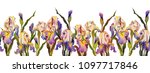 seamless border with irises... | Shutterstock . vector #1097717846