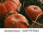 Small photo of Atmospheric autumn pumpkins and dry leaves background, selective focus. Authentic, Mabon, Samhain, pagan, rite, September, November, fall, harvest, Halloween, symbol, magic, witchcraft concept