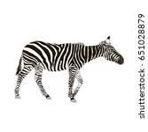 zebra silhouette on the white... | Shutterstock .eps vector #651028879